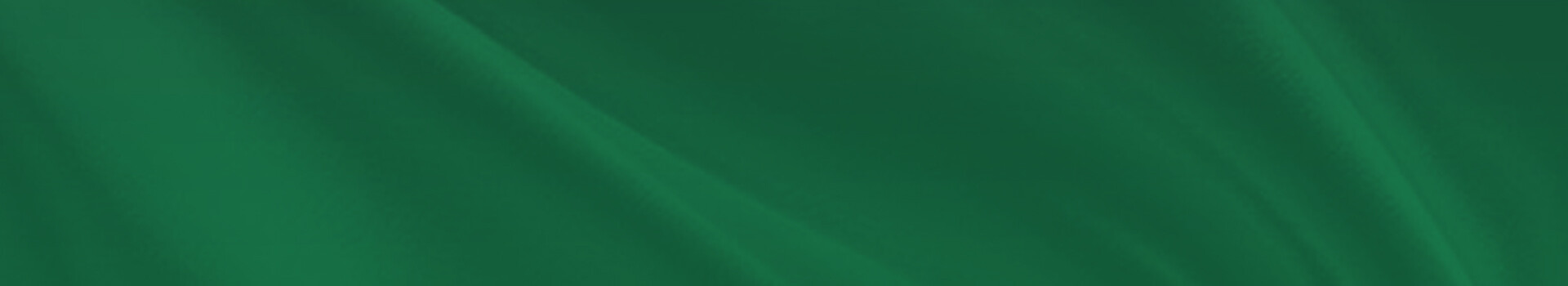 Evening of vocal music "Opera for you"