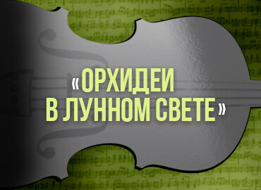 «Орхидеи в лунном свете»